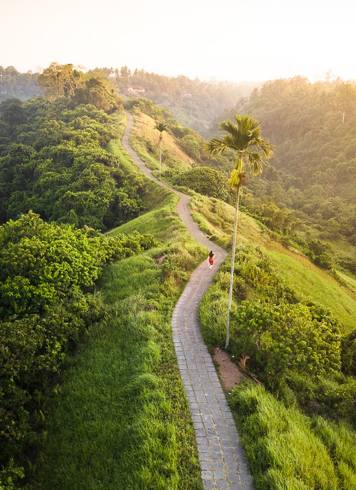 4_Siddhartha-Tours_Campuhan-Ridge_Ubud