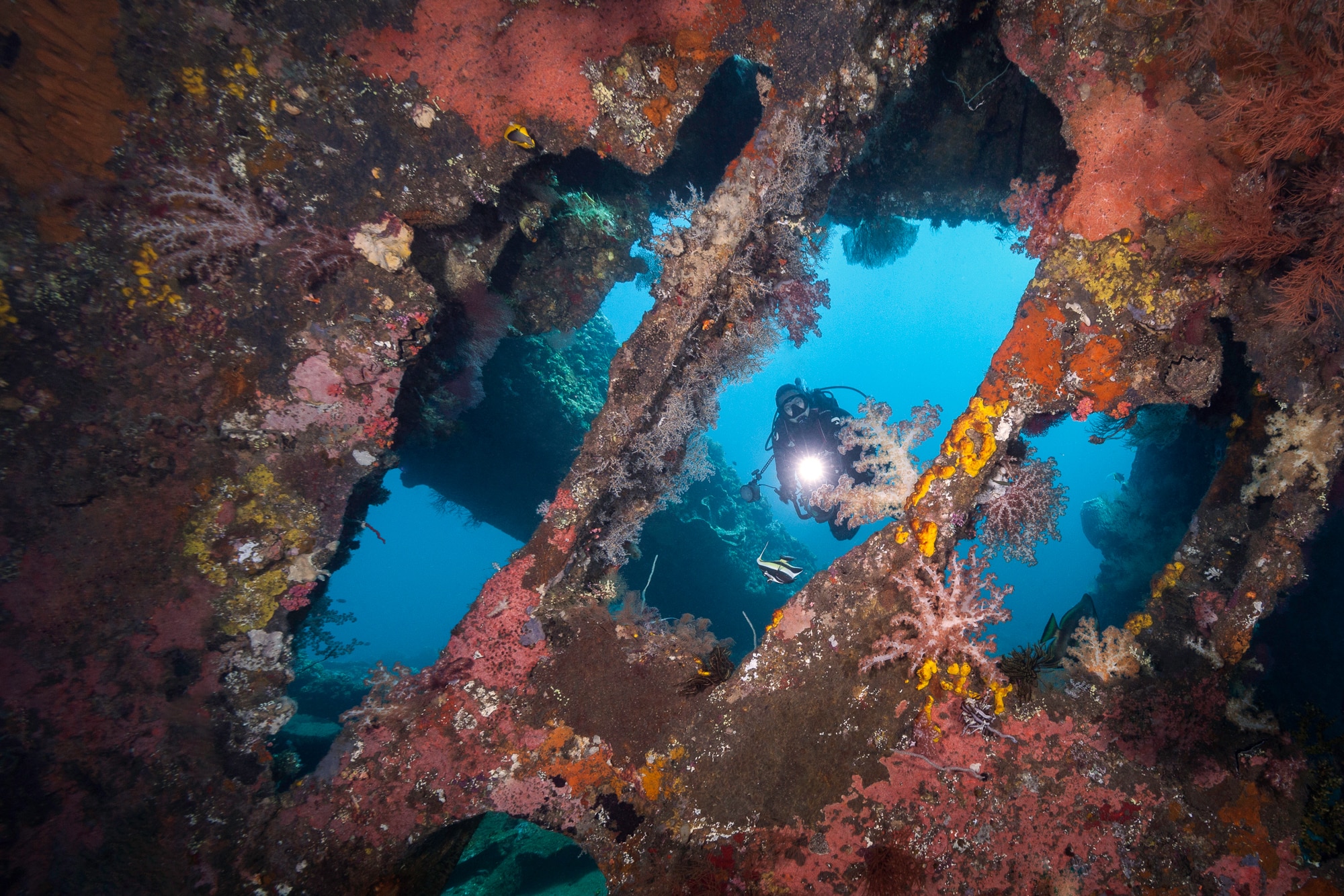 USAT Liberty Wreck Diving in Bali