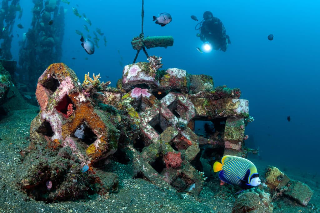Snorkel and Diving in Bali