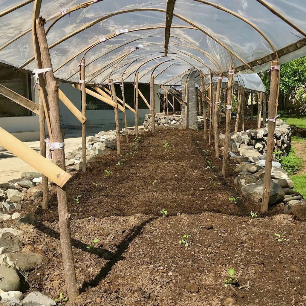 Vegetable Garden Bali