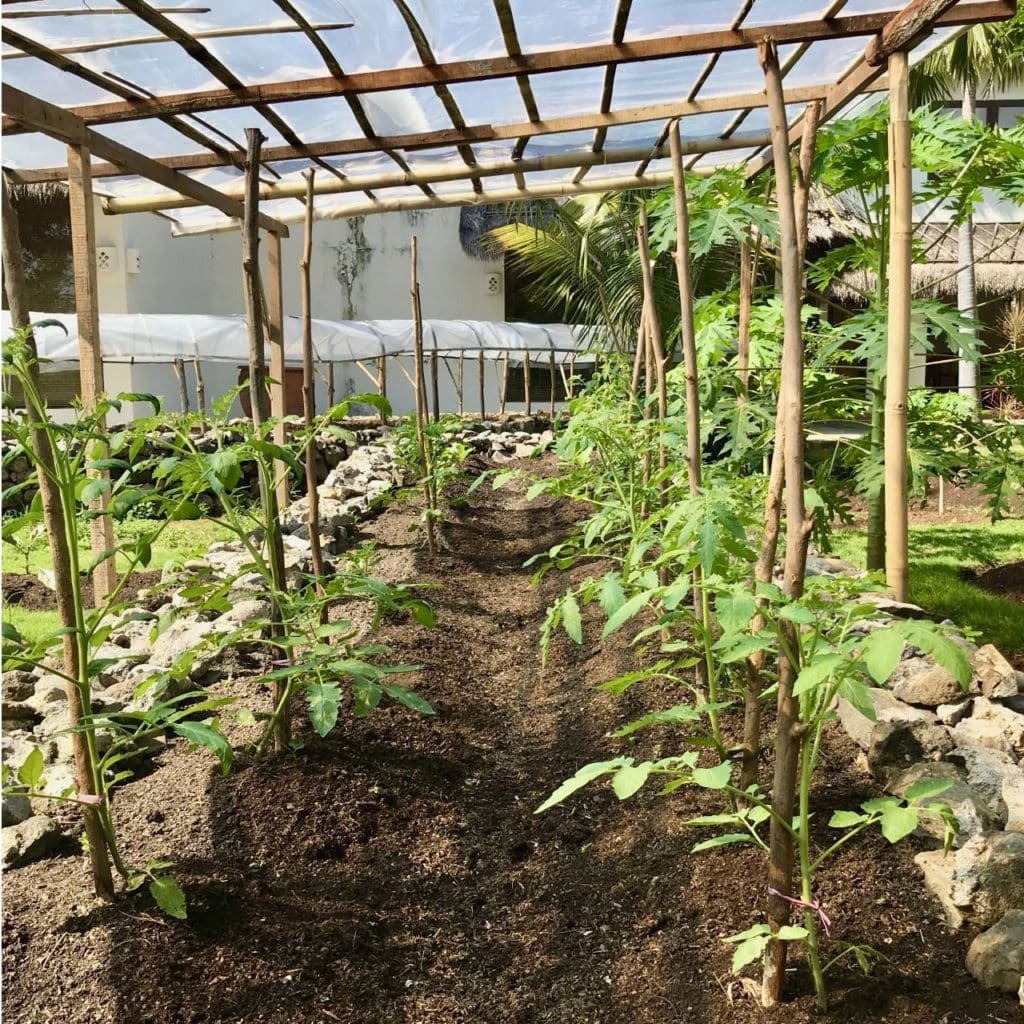 Gardening in Bali