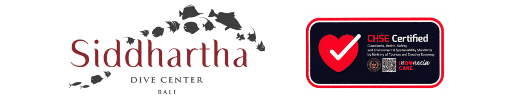 Siddhartha Dive Center CHSE Certification