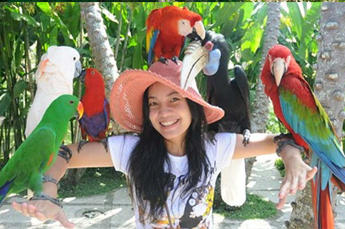 Bali Bird Park
