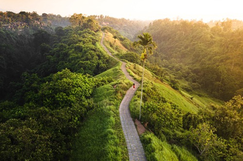 Campuhan Ridge Ubud