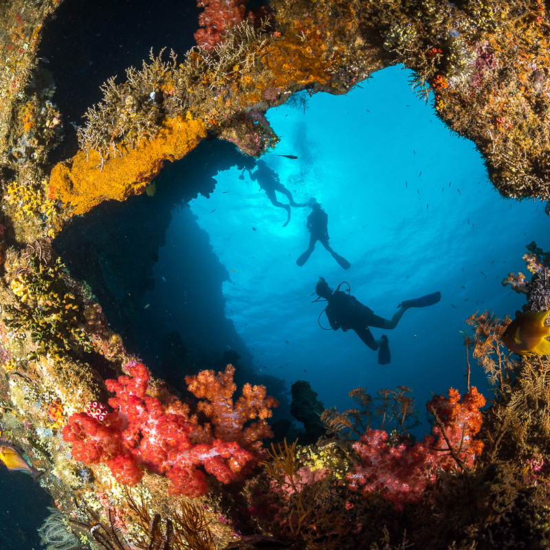 siddhartha bali resort scuba diving liberty wreck tulamben