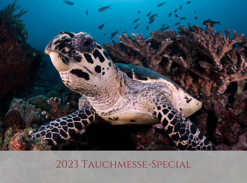 Tauchmesse Special Siddhartha Bali