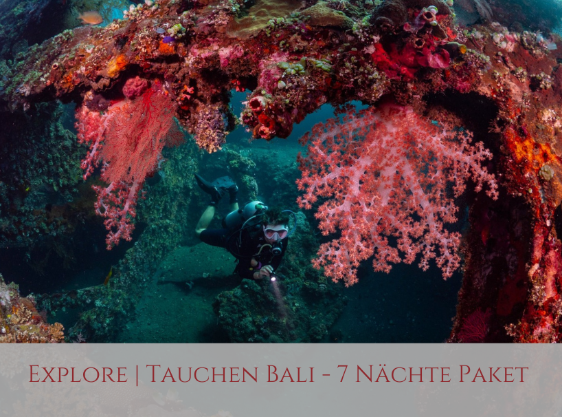 Siddhartha Oceanfront Resort Bali Diving Special Offer