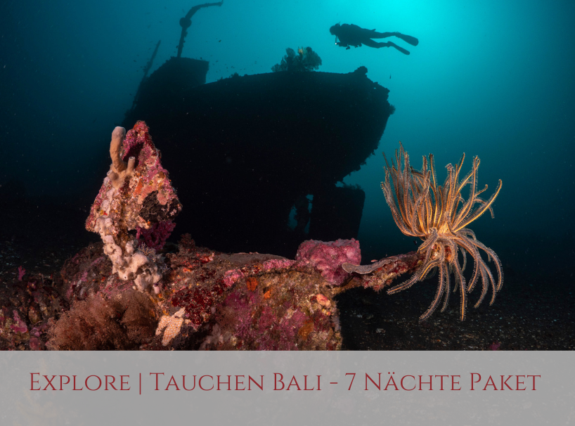 EXPLORE | Tauchen auf Bali 7-Nächte Paket
