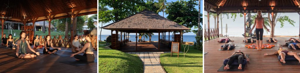 Siddhartha Bali Book Yoga Retreat