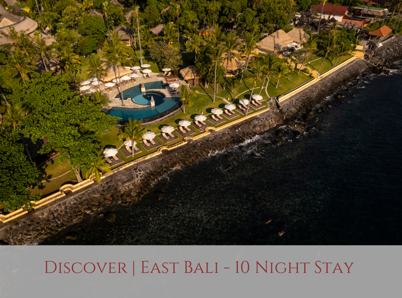 Siddhartha Bali Disvoer Special Offer