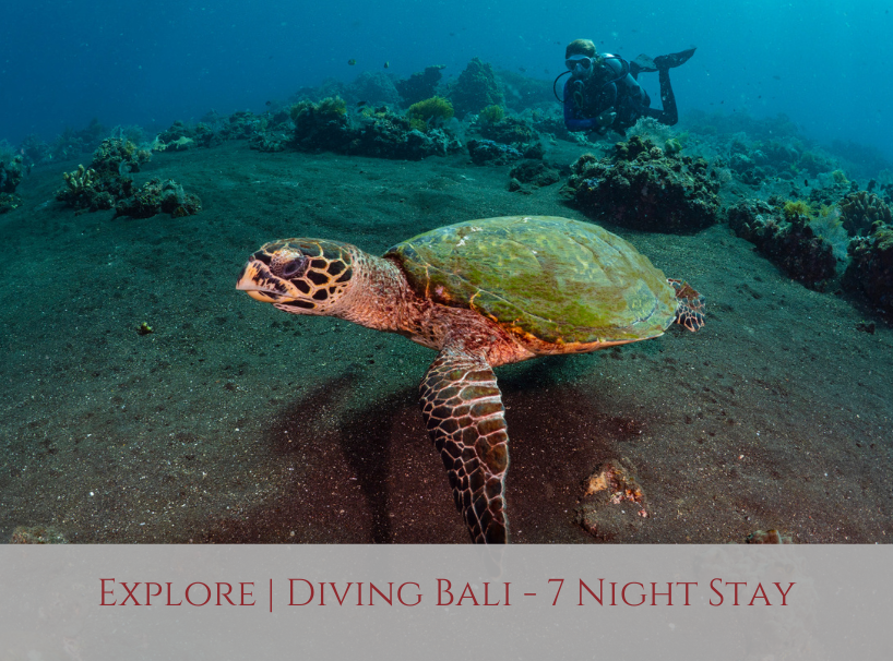 Siddhartha Bali Explore Special Offer
