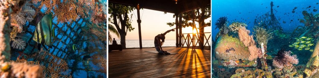Siddhartha Bali International Yoga Day