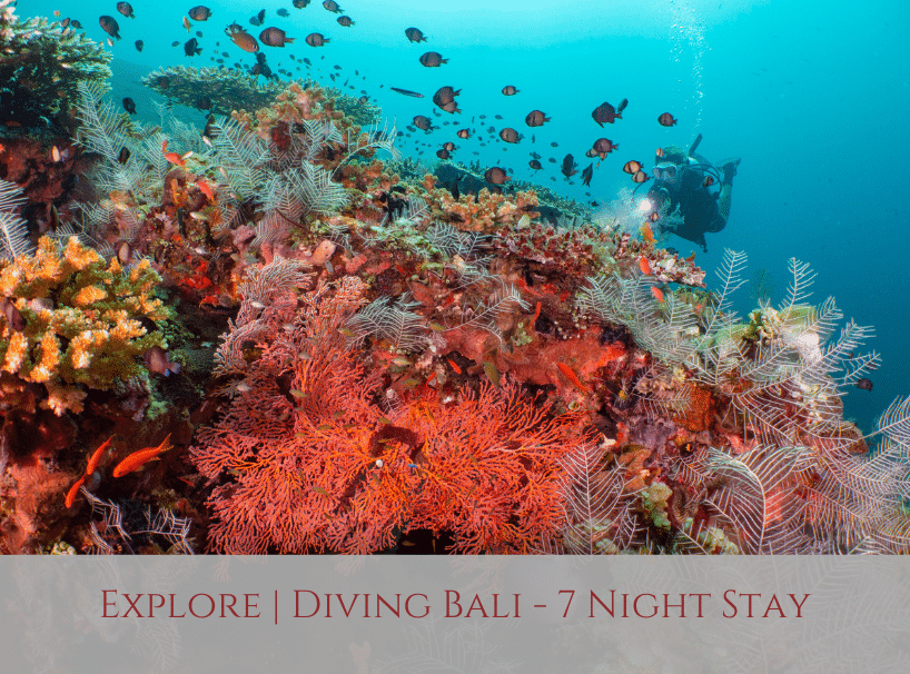 Siddhartha Bali Diving Resort
