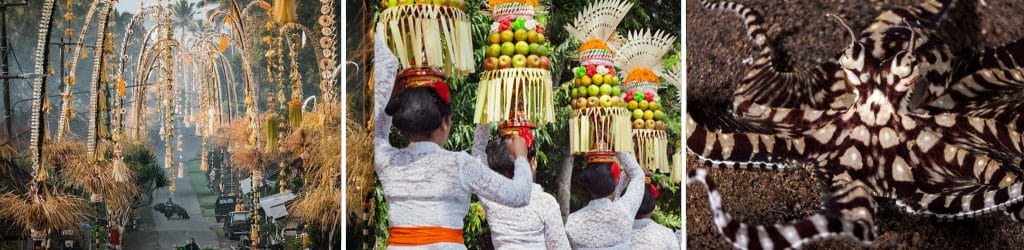 Siddhartha Bali Indonesia Celebrations