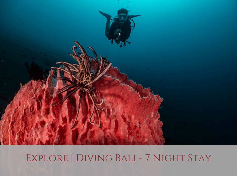 Siddhartha Bali Diving Resort
