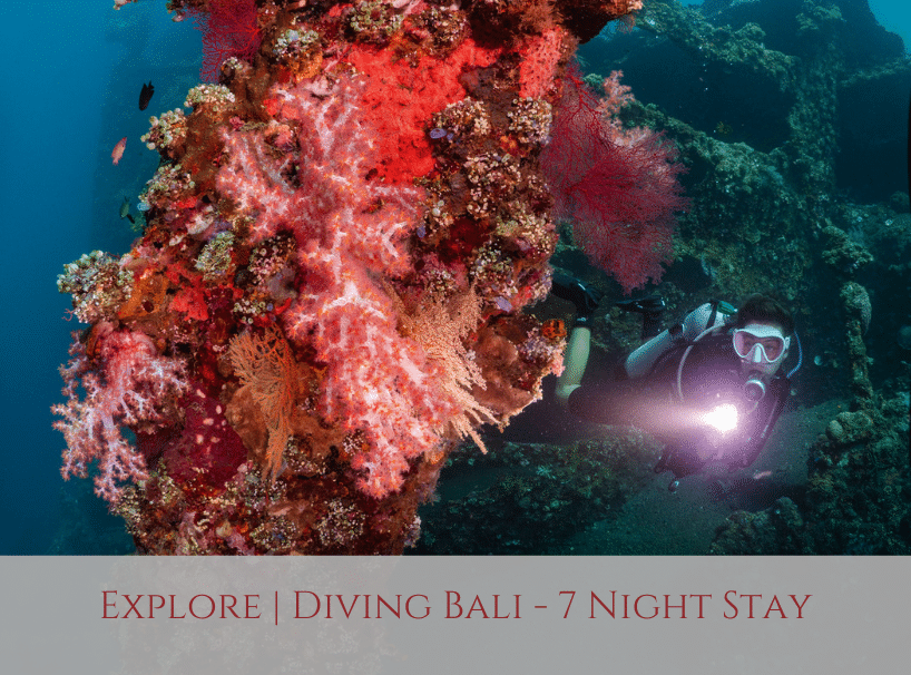 Siddhartha Bali Diving Packages