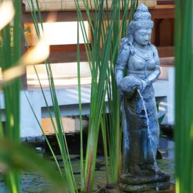 8_Siddhartha_Oceanfront-Resort_Lilly-Pond